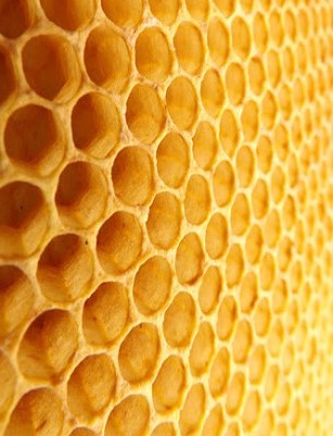 Industrial Honeycomb Solutions