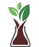 blog-deatils-logo